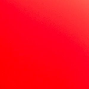 Meet your Posher, Daisy